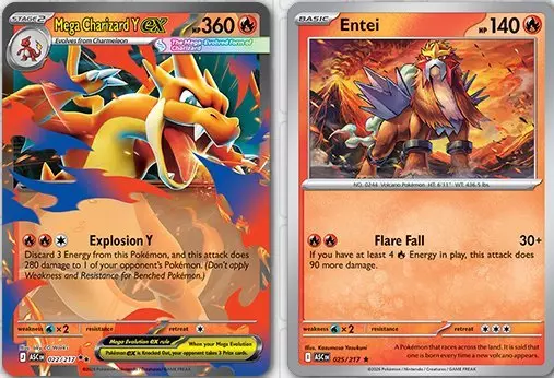 Extensive Card Collection